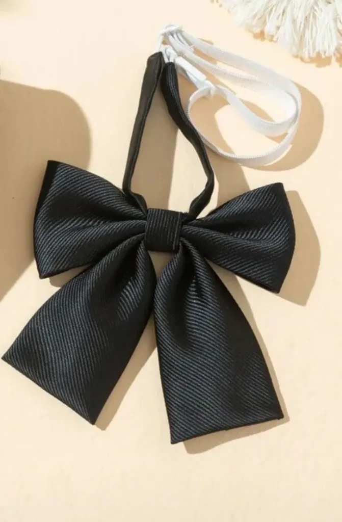 CORBATA TIPO LAZO